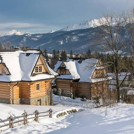 Willa Pitoniowka Z Sauna, Netflix Oraz Xbox One Kościelisko Exterior foto