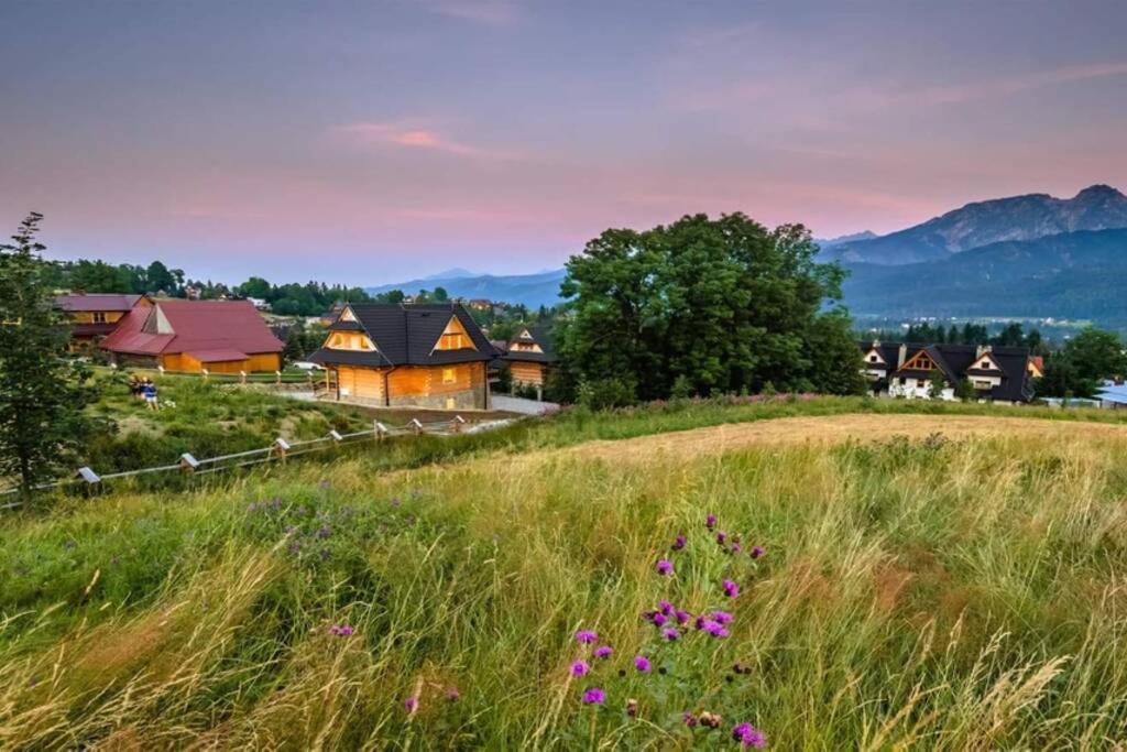 Willa Pitoniowka Z Sauna, Netflix Oraz Xbox One Kościelisko Exterior foto