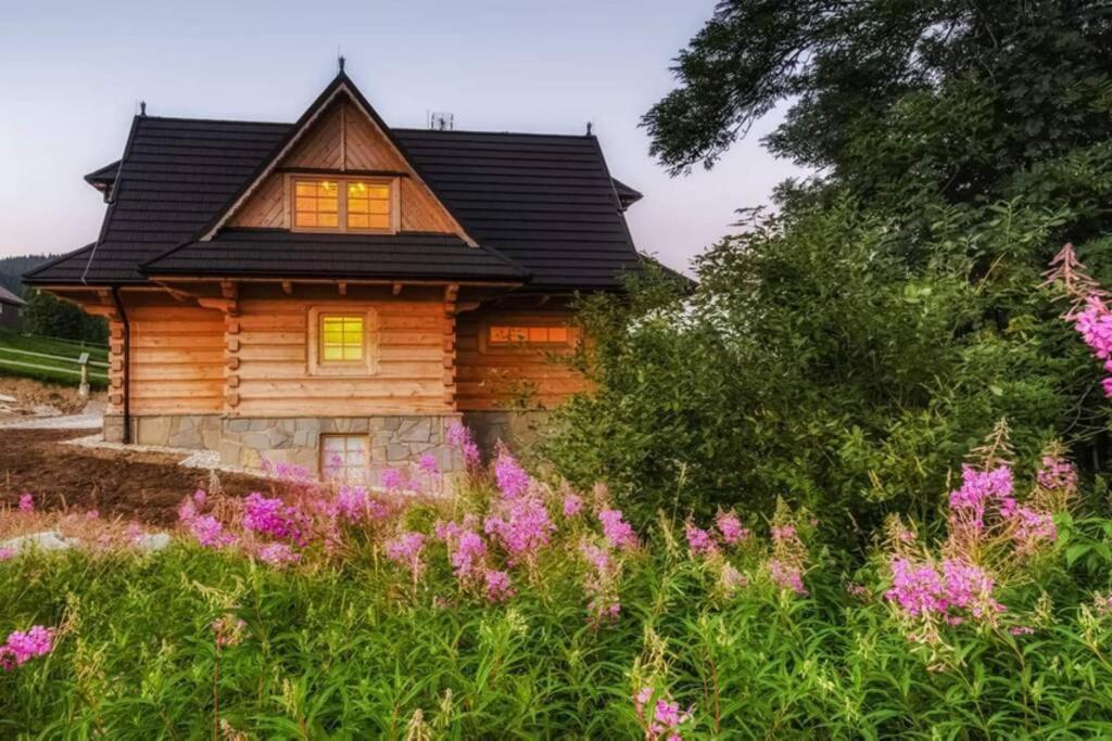 Willa Pitoniowka Z Sauna, Netflix Oraz Xbox One Kościelisko Exterior foto